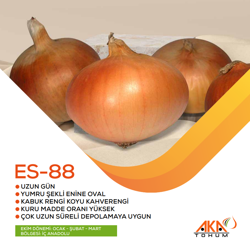 ES88 UZUN GÜN SOĞAN TOHUMU