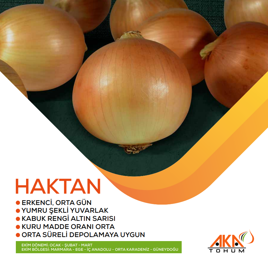 HAKTAN UZUN GÜN SOĞAN TOHUMU